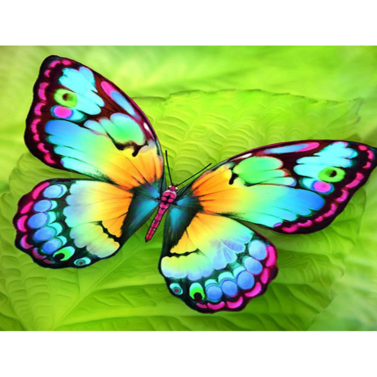 Diamond Painting 30x40cm Schmetterling