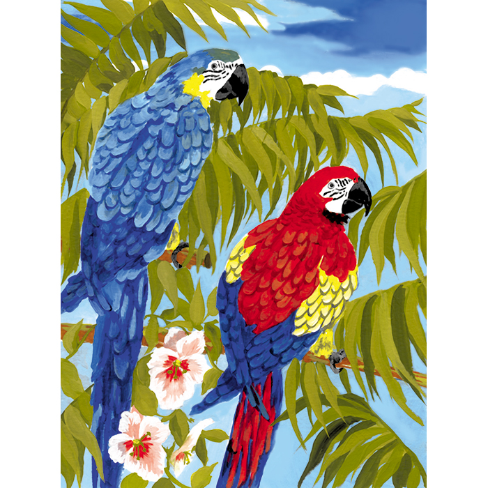 56300535uhaoIyyiEaGrQ Malen nach Zahlen 22,2x29,8cm Papageien