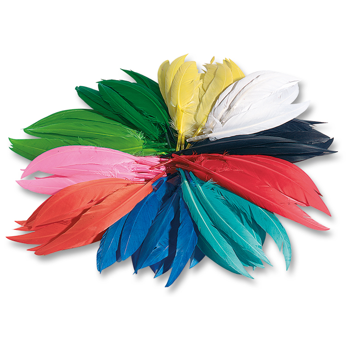 Indianerfedern ca. 10-20cm 100g Buntmix