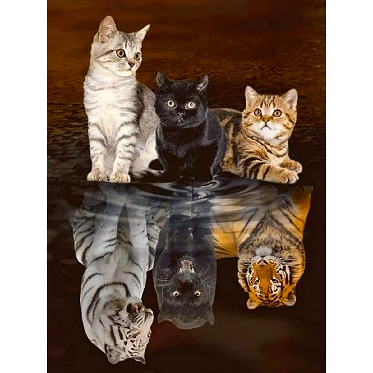 Diamond Painting 30x40cm Drei Katzen
