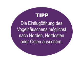 VOGELHAUS_Tipp-2_320x247_desktopLOYGZeMp9133c