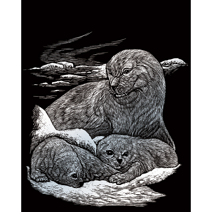 56300116LqBk0xBDymhSR Kratzbild silber 20,3x25,4cm Seehund&Babys