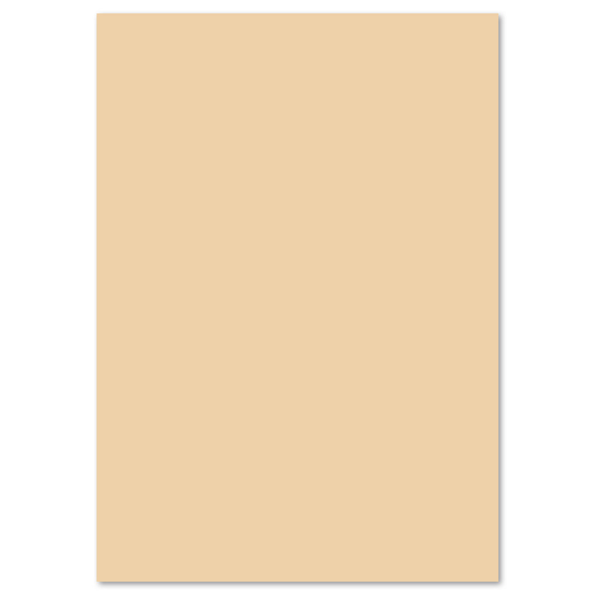 Tonpapier 130g/m² 50x70cm 10 Bl. chamois