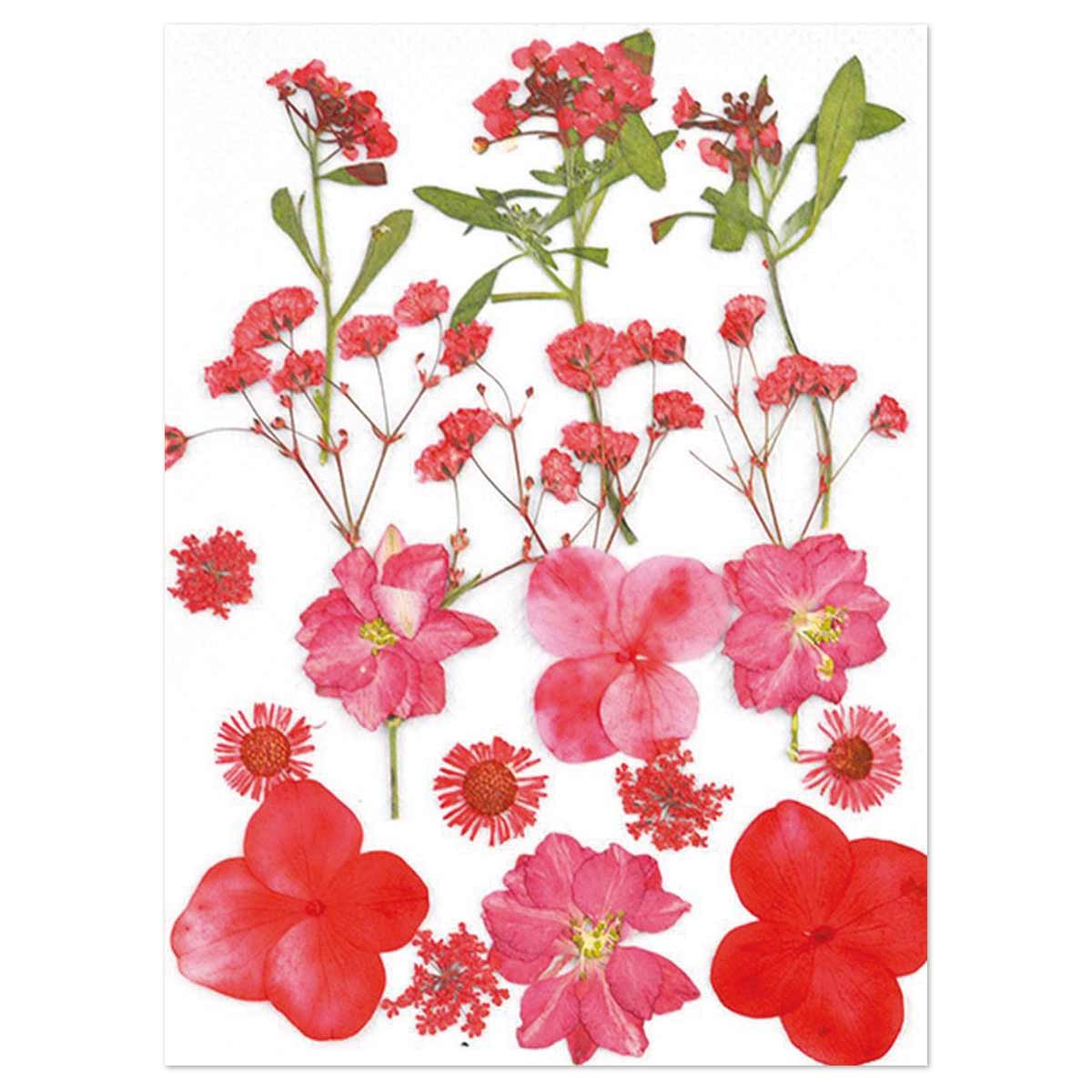 Gepresste Trockenblumen 13x18cm rot